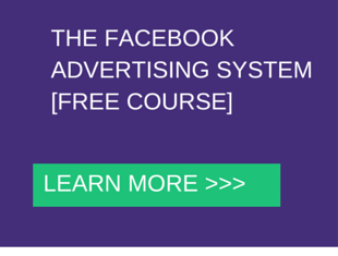 THE FACEBOOK ADVERTISING SYSTEM